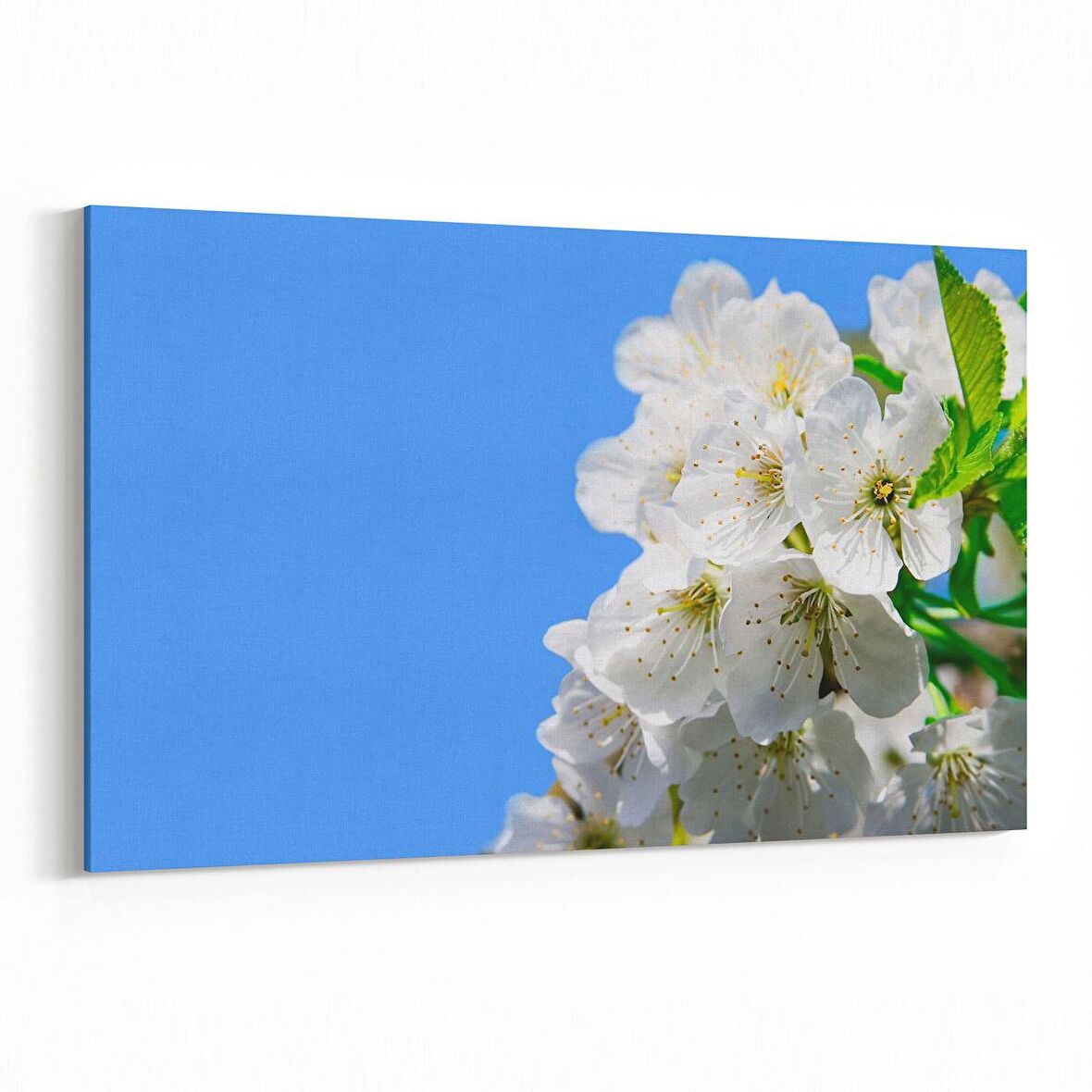 Olla 10906Y Ağaç Görseli Yatay Kanvas Tablo (Ölçü: 150X100)