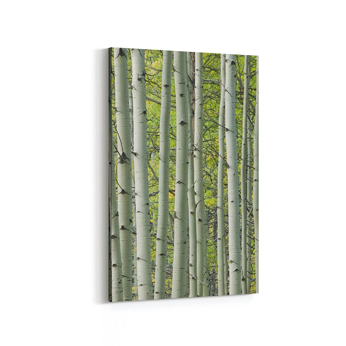 Olla 13468D Doğa / Manzara Görseli Dikey Kanvas Tablo (Ölçü: 100X150)