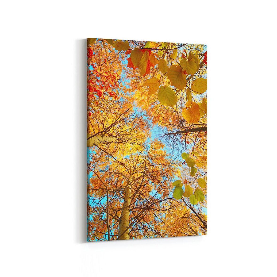 Olla 10489D Ağaç Görseli Dikey Kanvas Tablo (Ölçü: 100X150)
