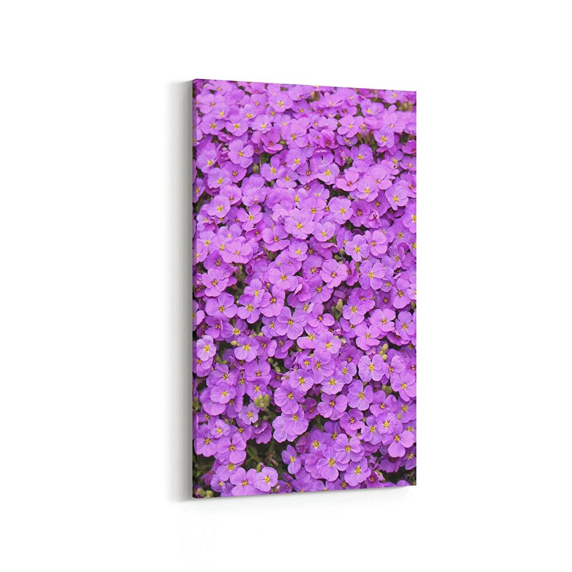 Olla 11587DD Çiçek Görseli Dikey Dar Kanvas Tablo (Ölçü: 60X120)