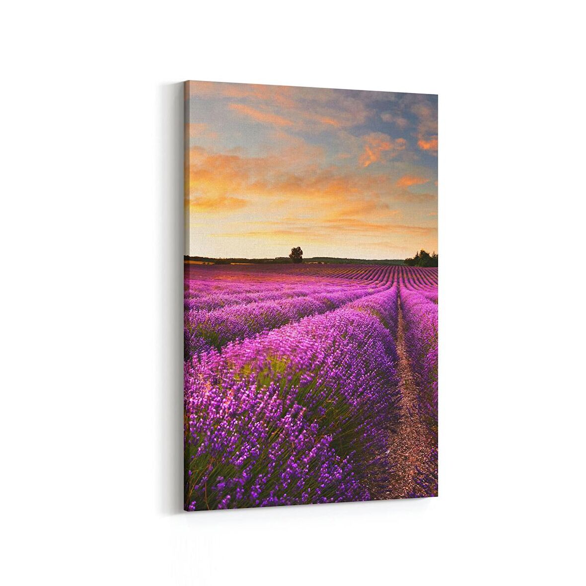 Olla 14399D Doğa / Manzara Görseli Dikey Kanvas Tablo (Ölçü: 60X90)