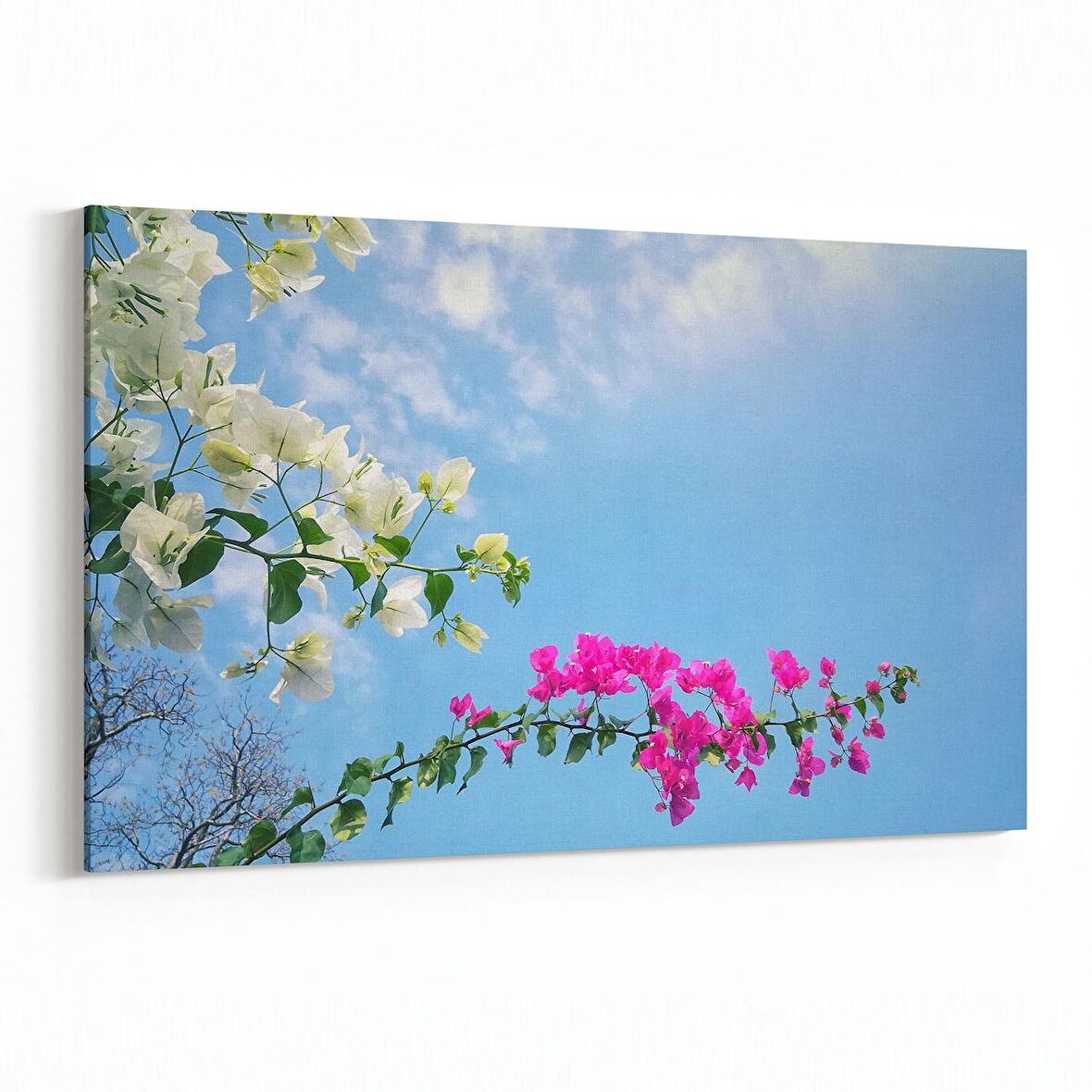 Olla 10480Y Ağaç Görseli Yatay Kanvas Tablo (Ölçü: 45X30)