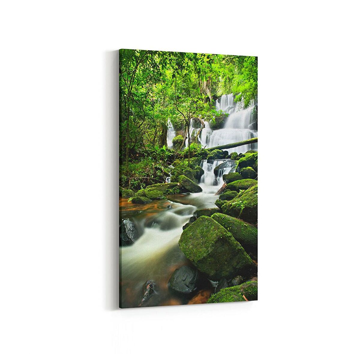 Olla 14564DD Doğa / Manzara Görseli Dikey Dar Kanvas Tablo (Ölçü: 30X60)