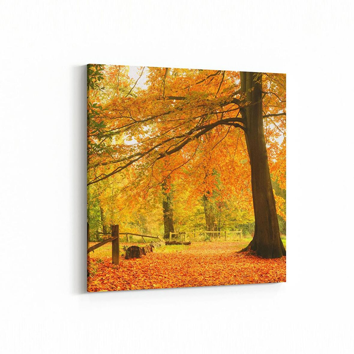 Olla 14331K Doğa / Manzara Görseli Kare Kanvas Tablo (Ölçü: 25X25)