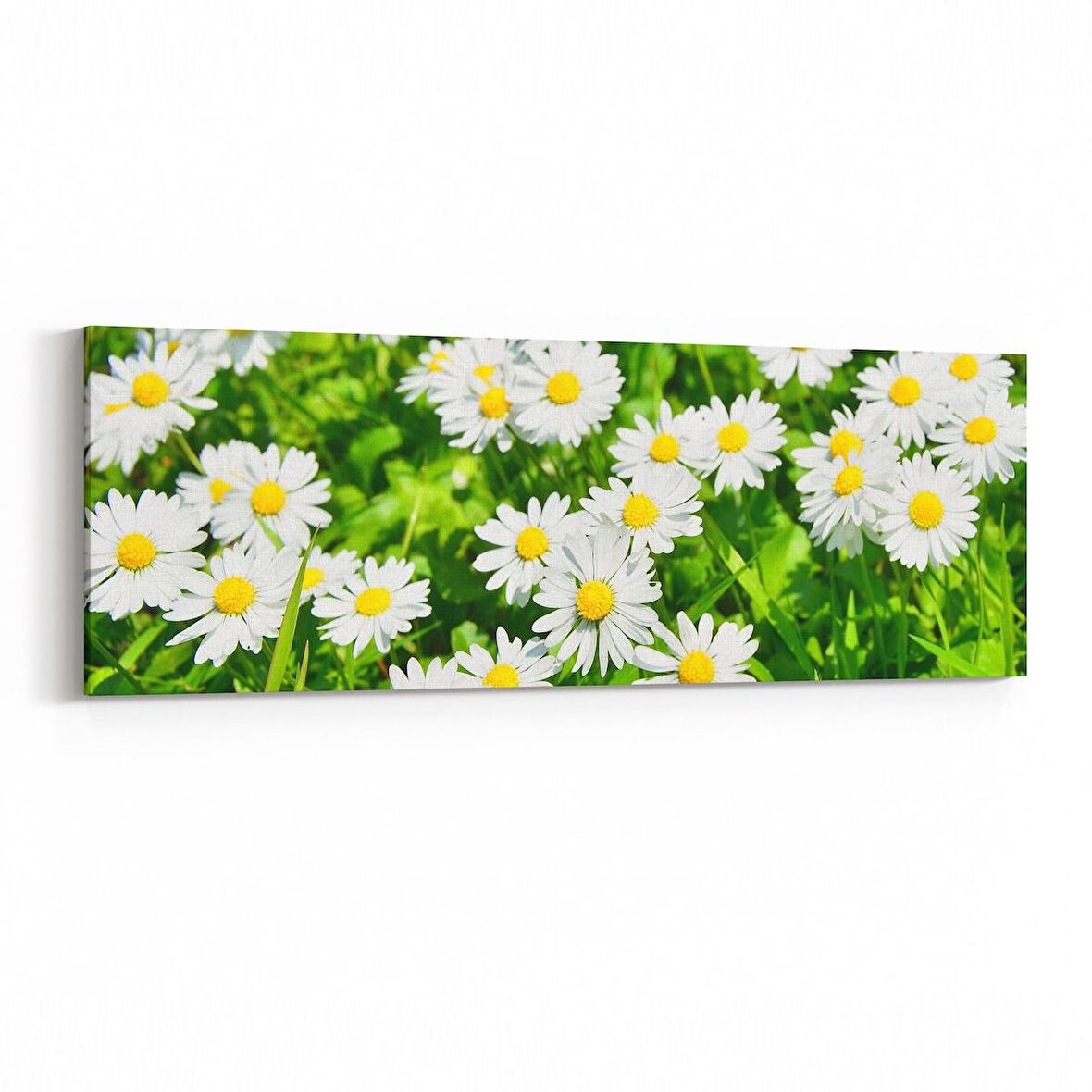 Olla 10945YI Ağaç Görseli Yatay İnce Kanvas Tablo (Ölçü: 90X30)