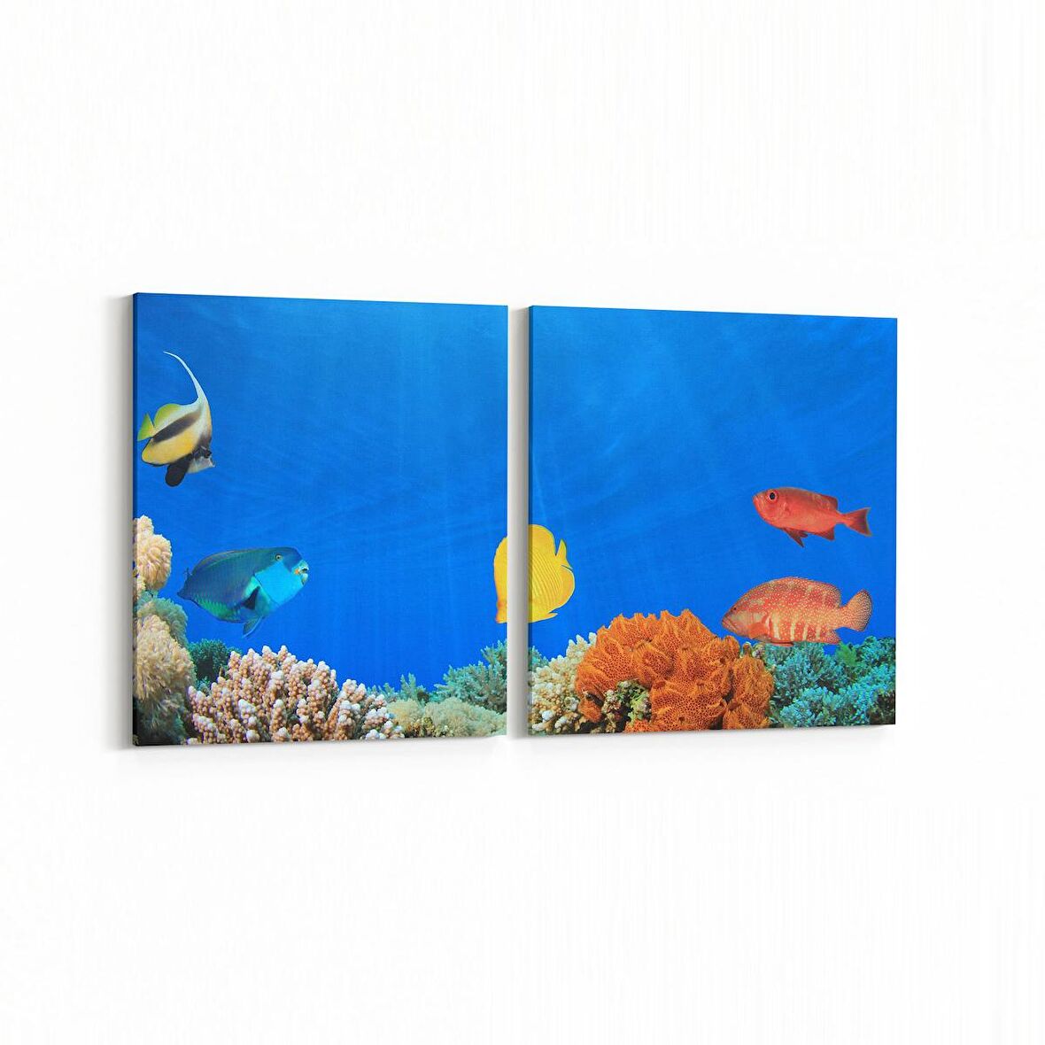 Olla 12202K2Y Akvaryum / Balık Görseli Kare 2'li Yatay Kanvas Tablo (Ölçü: 105X50)