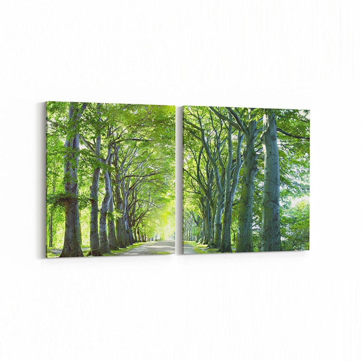 Olla 13234K2Y Doğa / Manzara Görseli Kare 2'li Yatay Kanvas Tablo (Ölçü: 125X60)