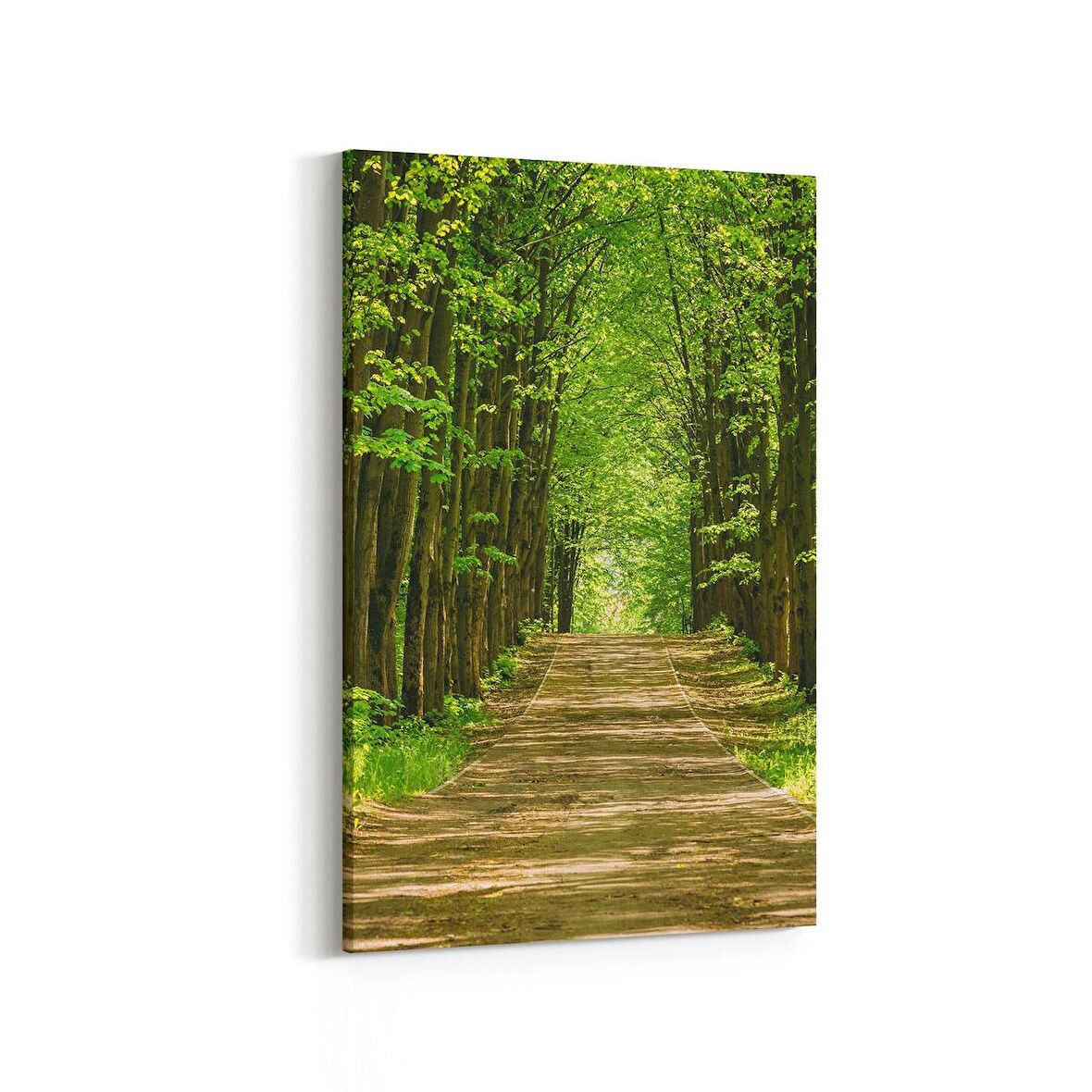 Olla 14276D Doğa / Manzara Görseli Dikey Kanvas Tablo (Ölçü: 60X90)