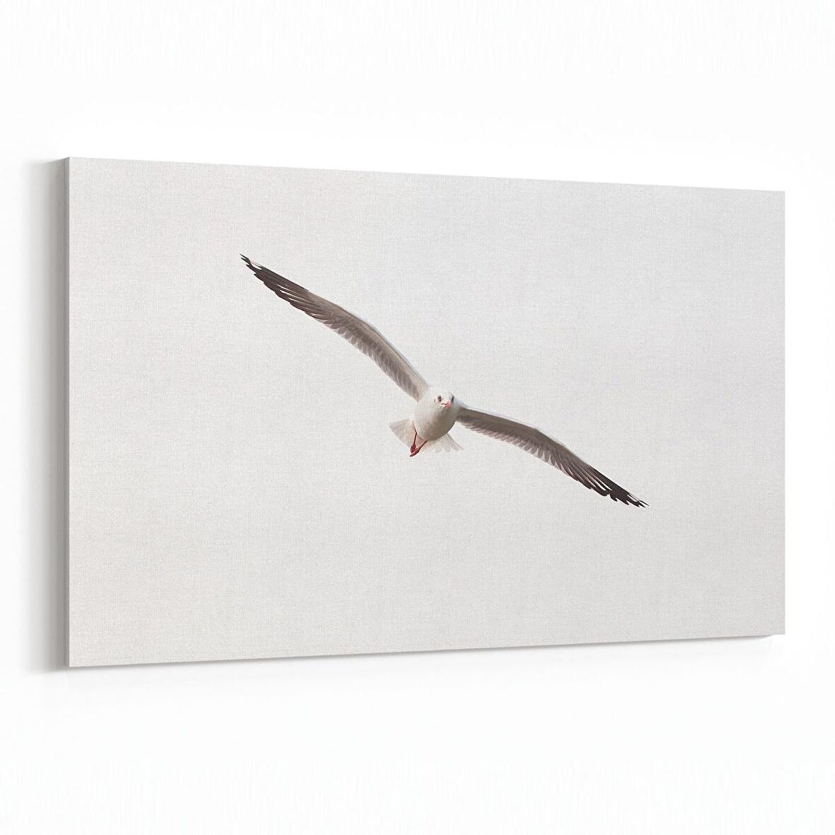 Olla 12637Y Hayvanlar Alemi Görseli Yatay Kanvas Tablo (Ölçü: 30X20)