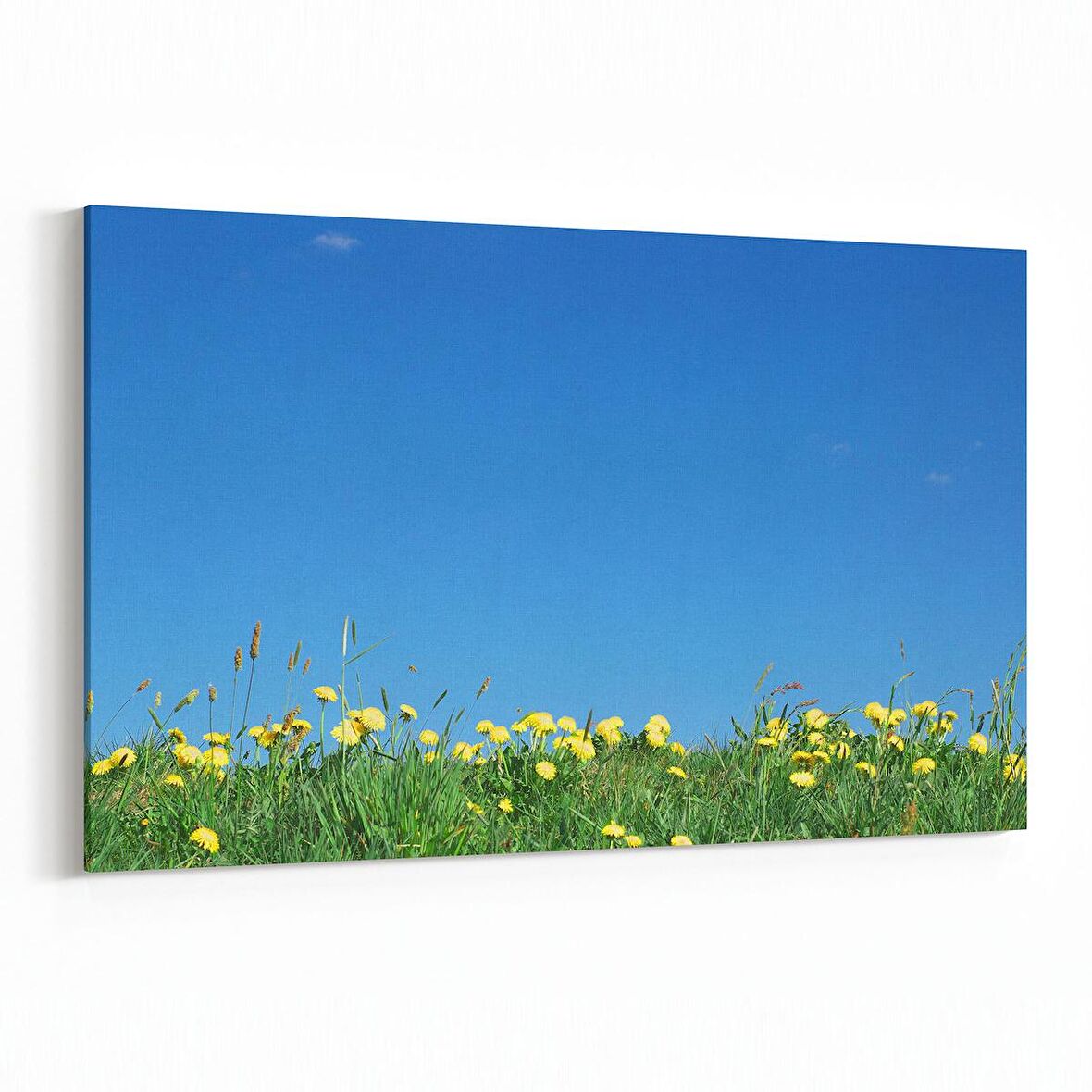 Olla 13899Y Doğa / Manzara Görseli Yatay Kanvas Tablo (Ölçü: 45X30)