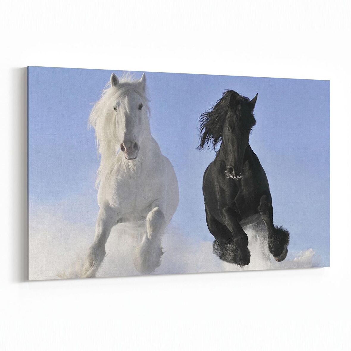 Olla 12628Y Hayvanlar Alemi Görseli Yatay Kanvas Tablo (Ölçü: 120X80)