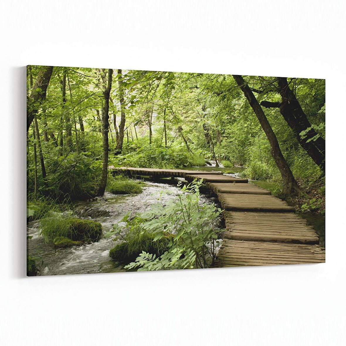 Olla 14231Y Doğa / Manzara Görseli Yatay Kanvas Tablo (Ölçü: 45X30)