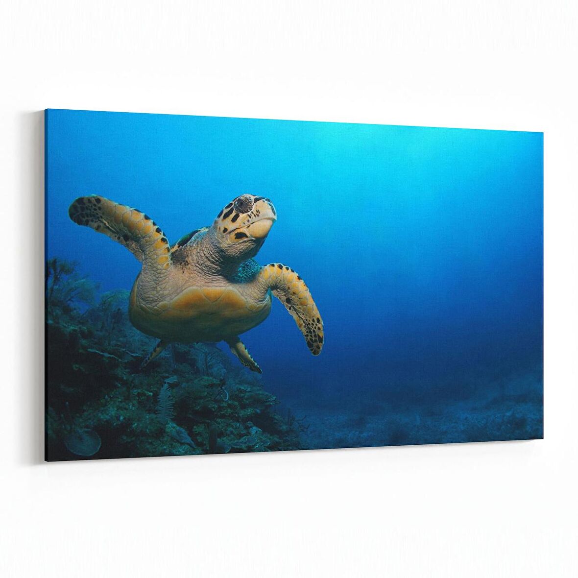 Olla 12898Y Deniz / Okyanus Görseli Yatay Kanvas Tablo (Ölçü: 30X20)