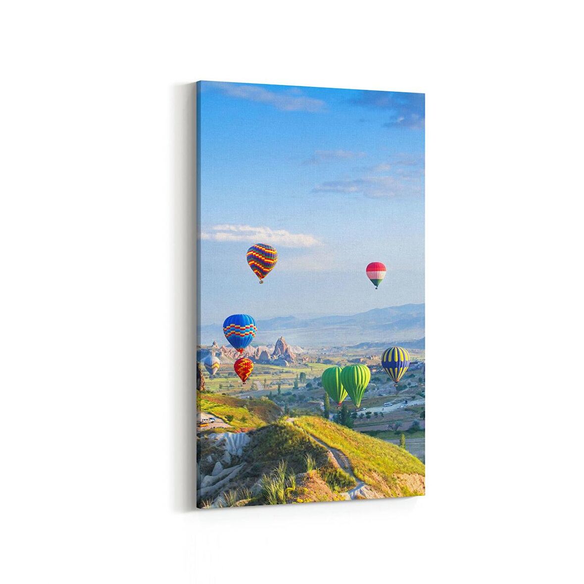 Olla 14227DD Doğa / Manzara Görseli Dikey Dar Kanvas Tablo (Ölçü: 40X80)