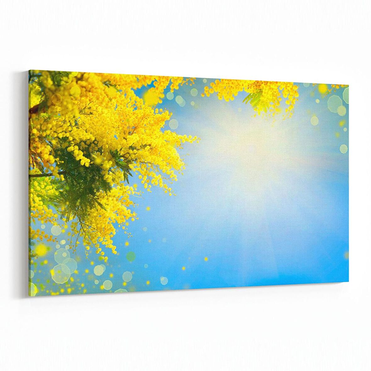 Olla 10934Y Ağaç Görseli Yatay Kanvas Tablo (Ölçü: 45X30)