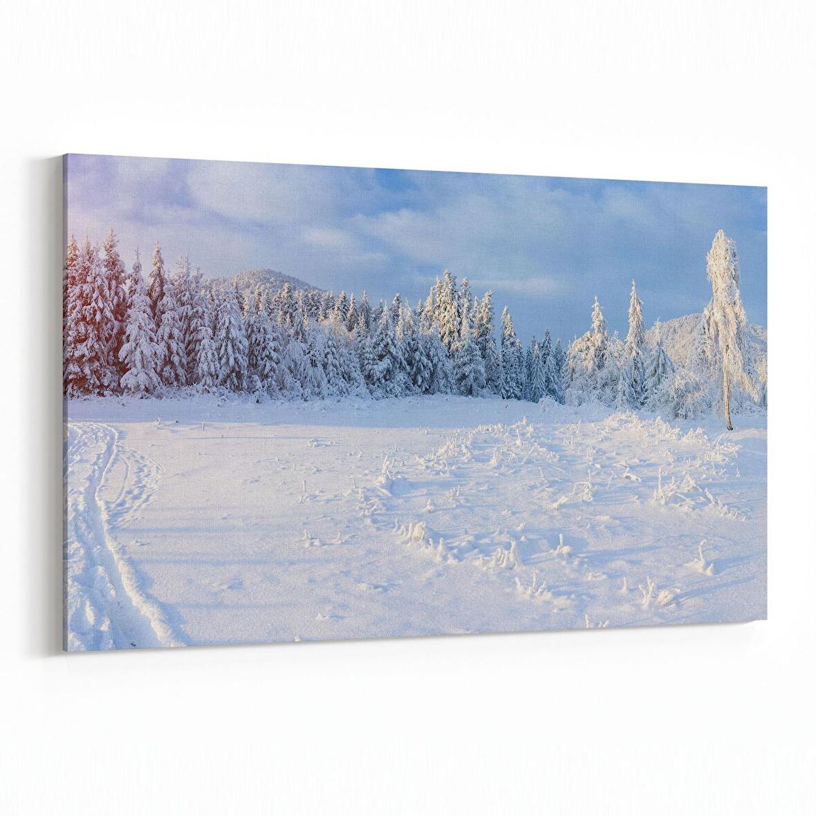 Olla 13763Y Doğa / Manzara Görseli Yatay Kanvas Tablo (Ölçü: 45X30)