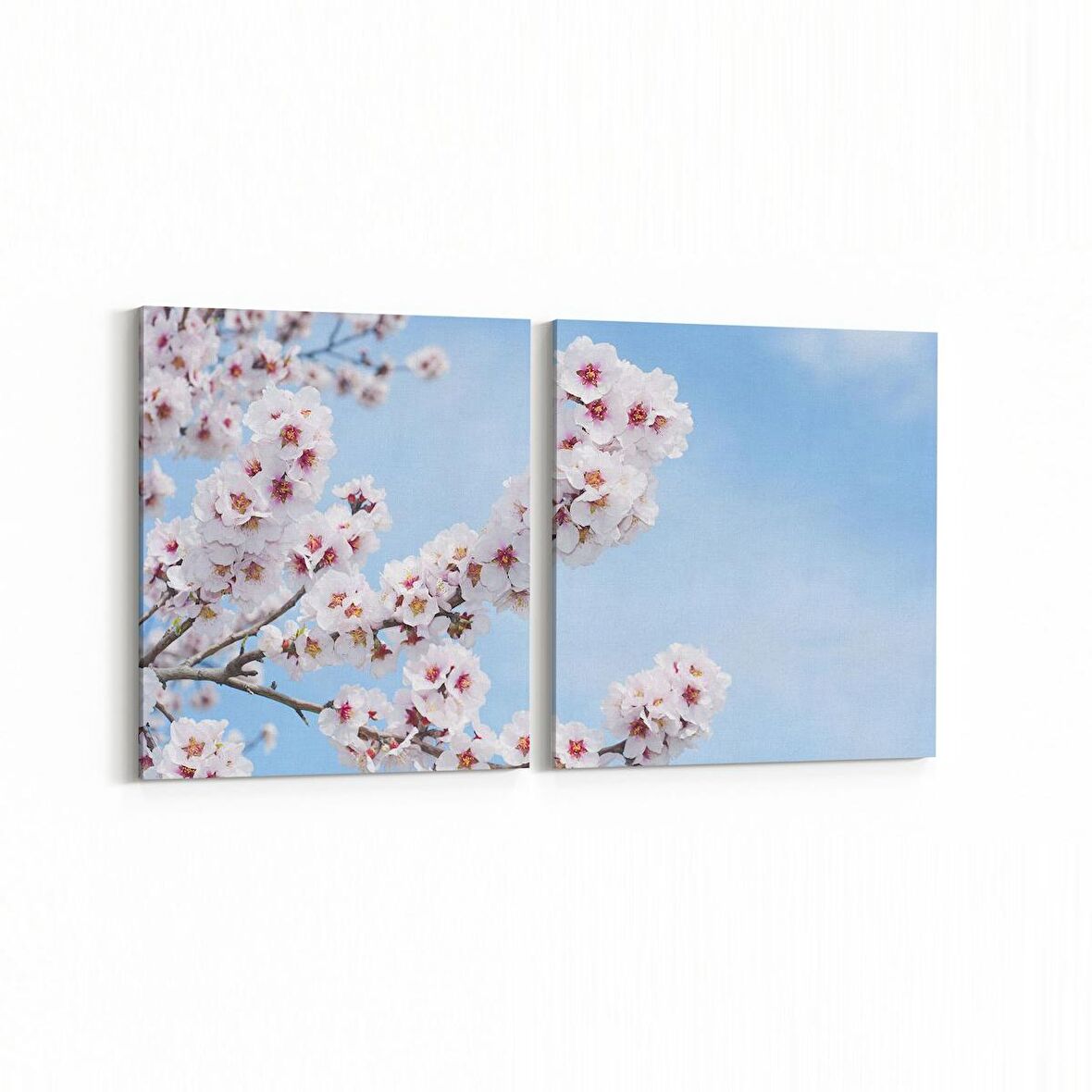 Olla 10654K2Y Ağaç Görseli Kare 2'li Yatay Kanvas Tablo (Ölçü: 145X70)