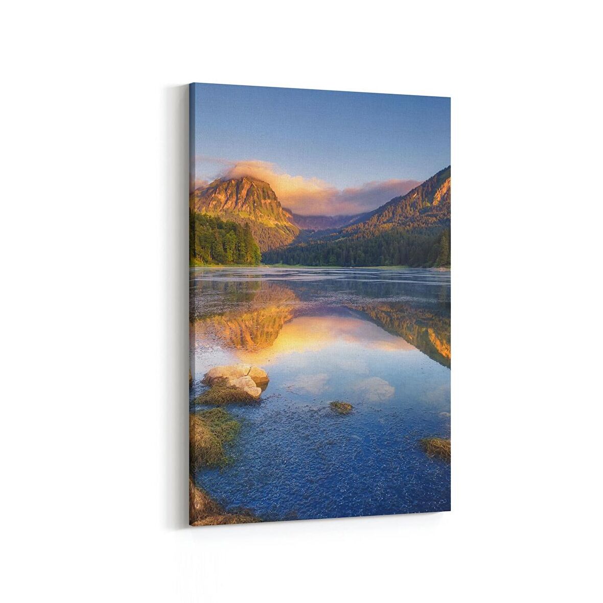 Olla 14002D Doğa / Manzara Görseli Dikey Kanvas Tablo (Ölçü: 60X90)