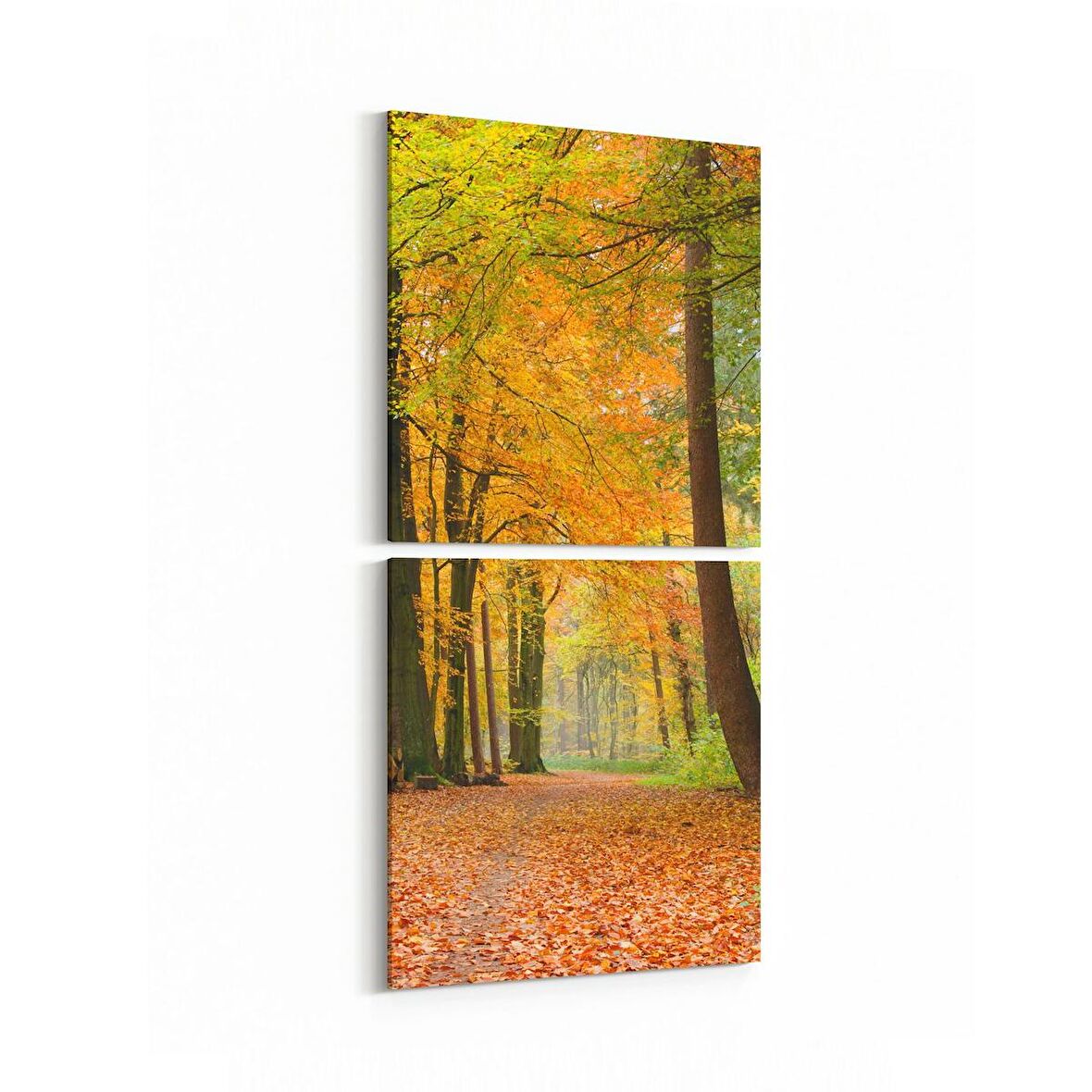 Olla 14341K2D Doğa / Manzara Görseli Kare 2'li Dikey Kanvas Tablo (Ölçü: 30X65)