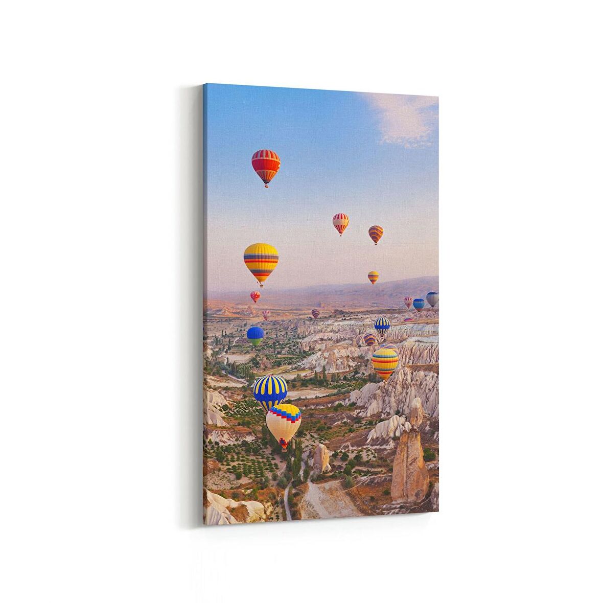 Olla 18203DD Yapı Görseli Dikey Dar Kanvas Tablo (Ölçü: 30X60)