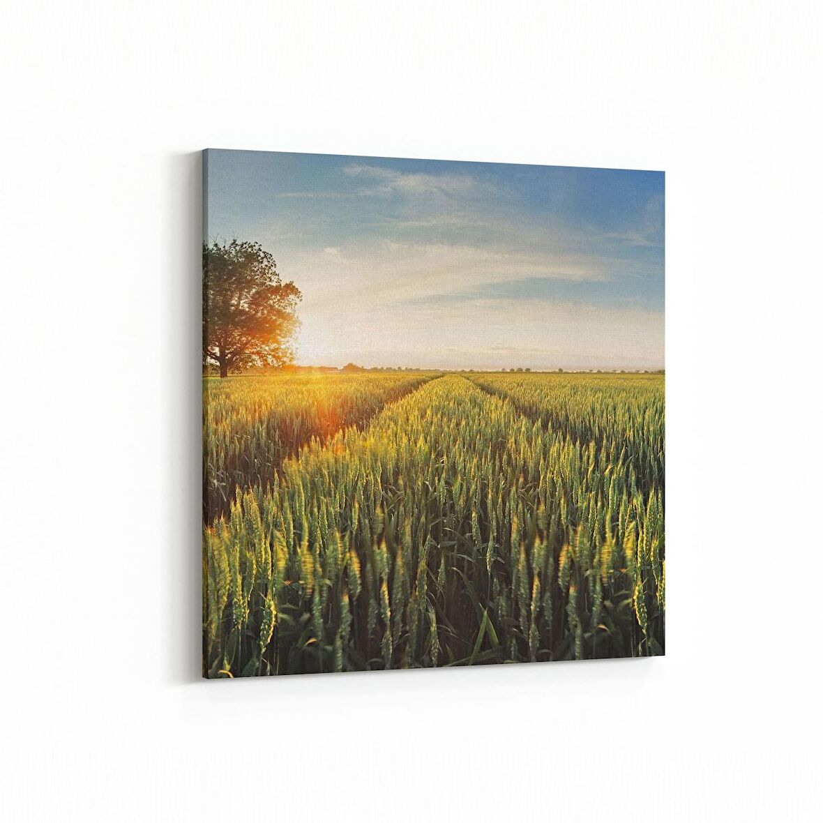 Olla 13889K Doğa / Manzara Görseli Kare Kanvas Tablo (Ölçü: 25X25)