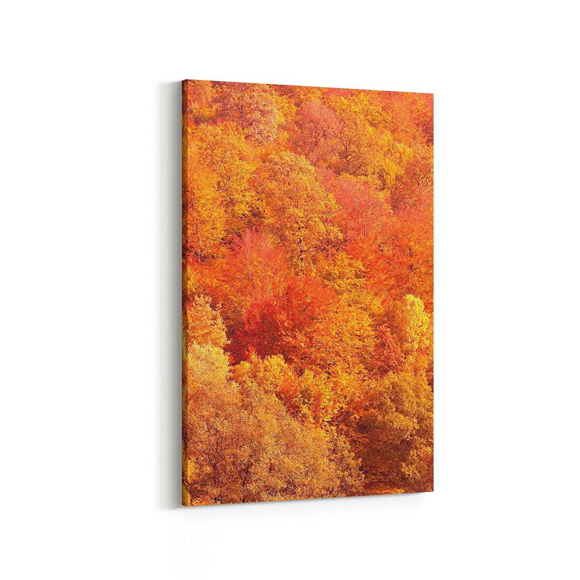 Olla 14303D Doğa / Manzara Görseli Dikey Kanvas Tablo (Ölçü: 20X30)