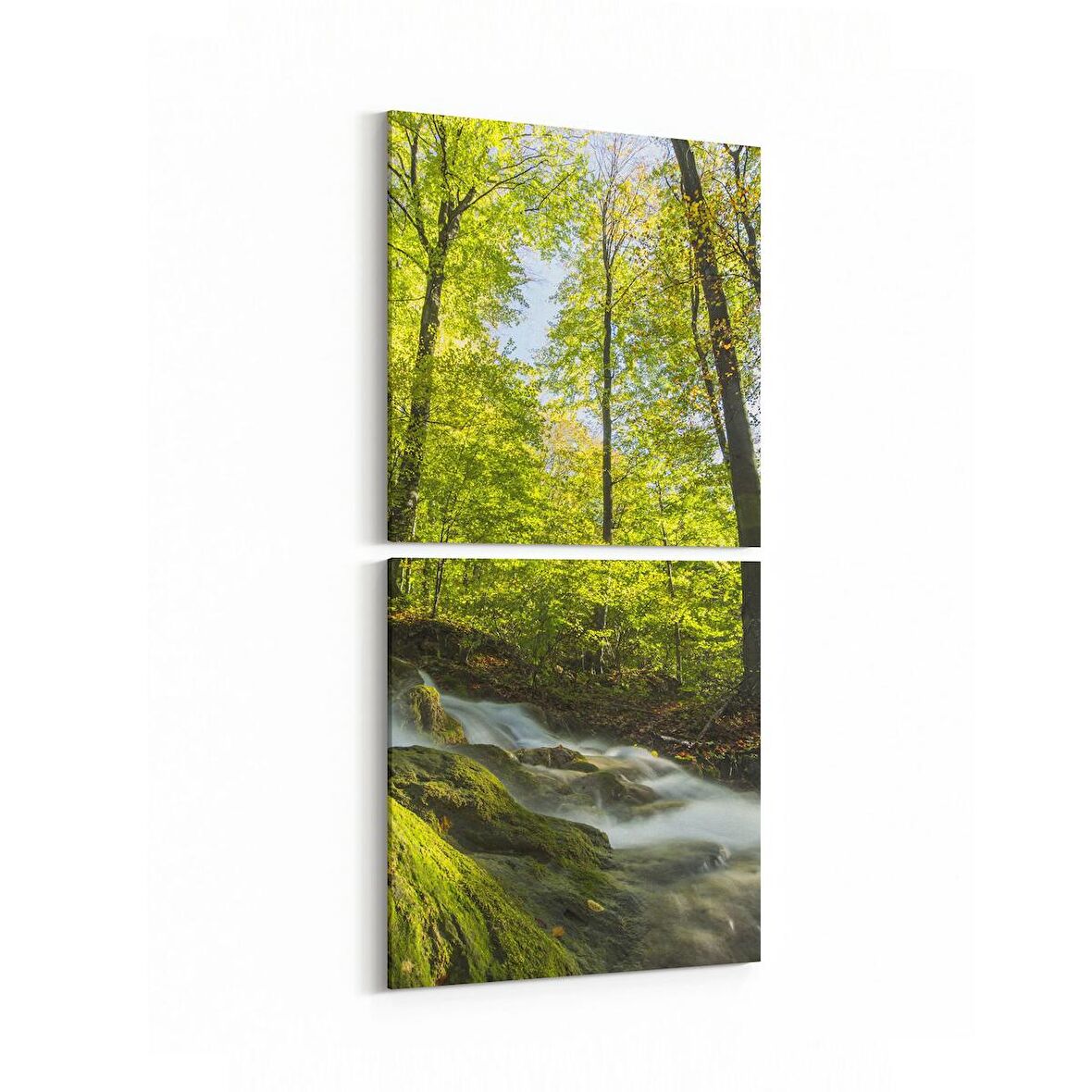 Olla 13605K2D Doğa / Manzara Görseli Kare 2'li Dikey Kanvas Tablo (Ölçü: 30X65)