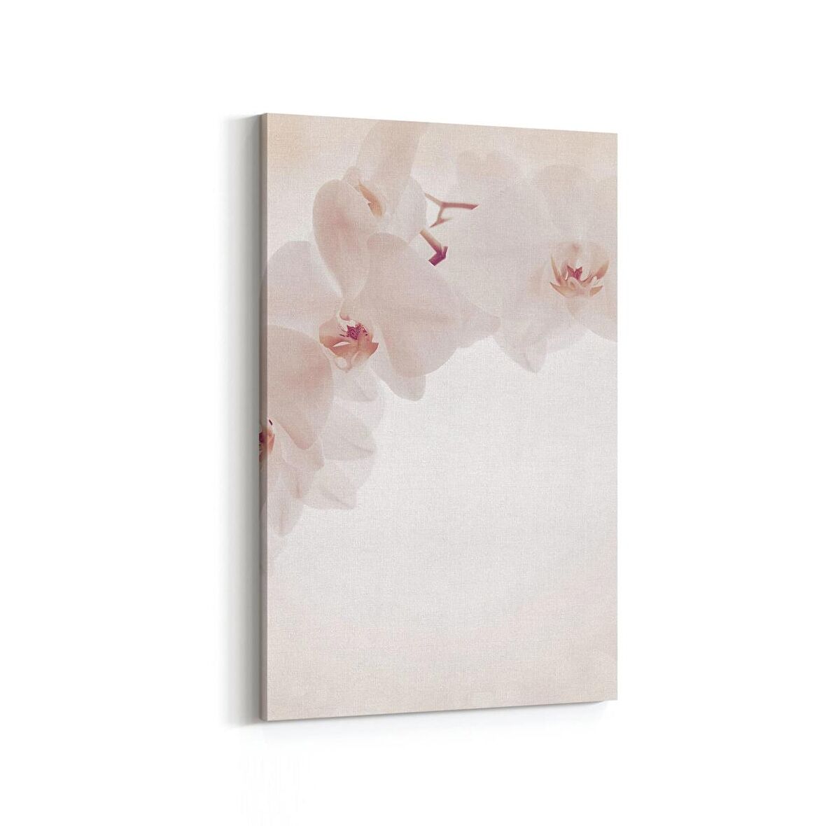 Olla 11722D Orkide Çiçek Görseli Dikey Kanvas Tablo (Ölçü: 100X150)