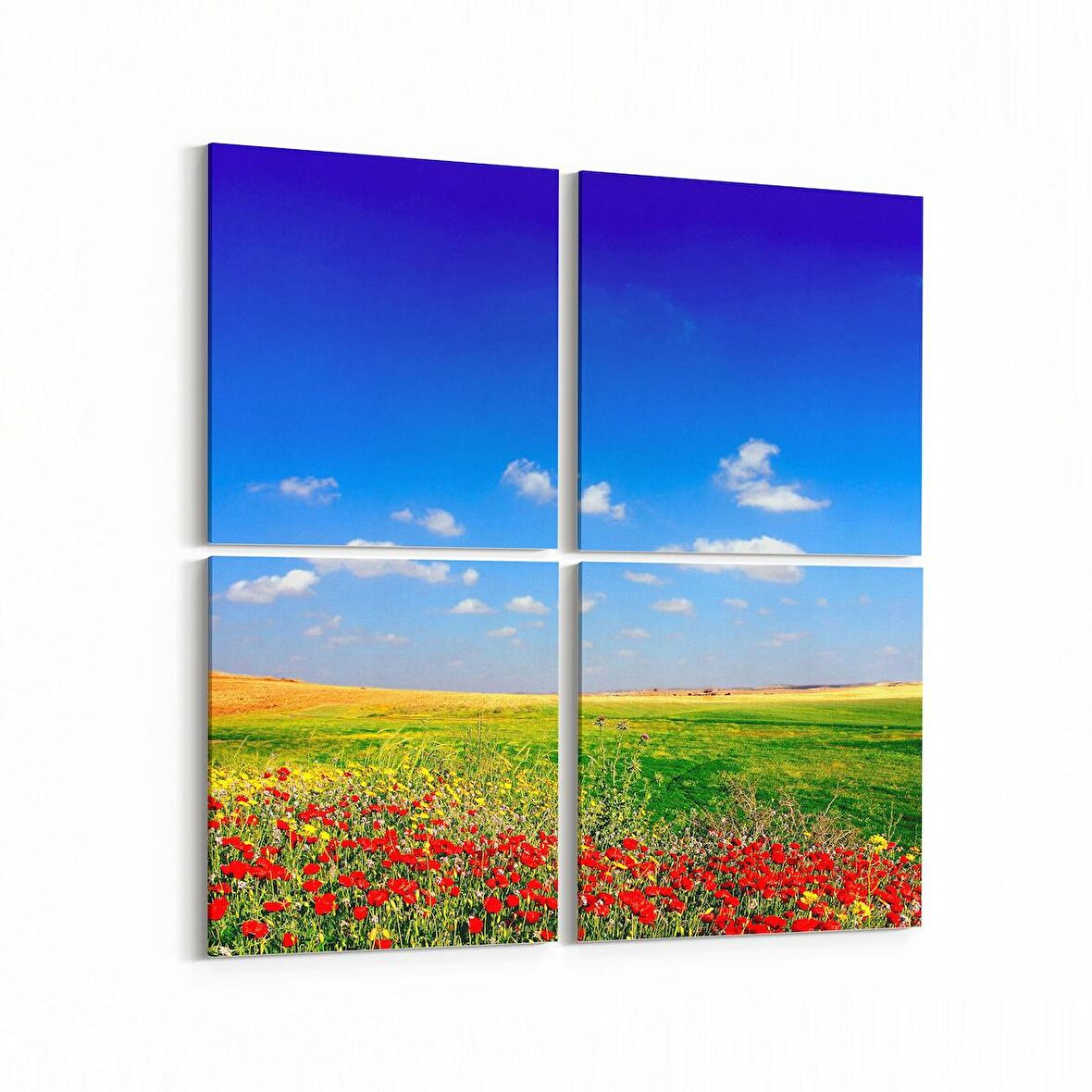 Olla 13930K4 Doğa / Manzara Görseli Kare 4'lü Kanvas Tablo (Ölçü: 125X125)