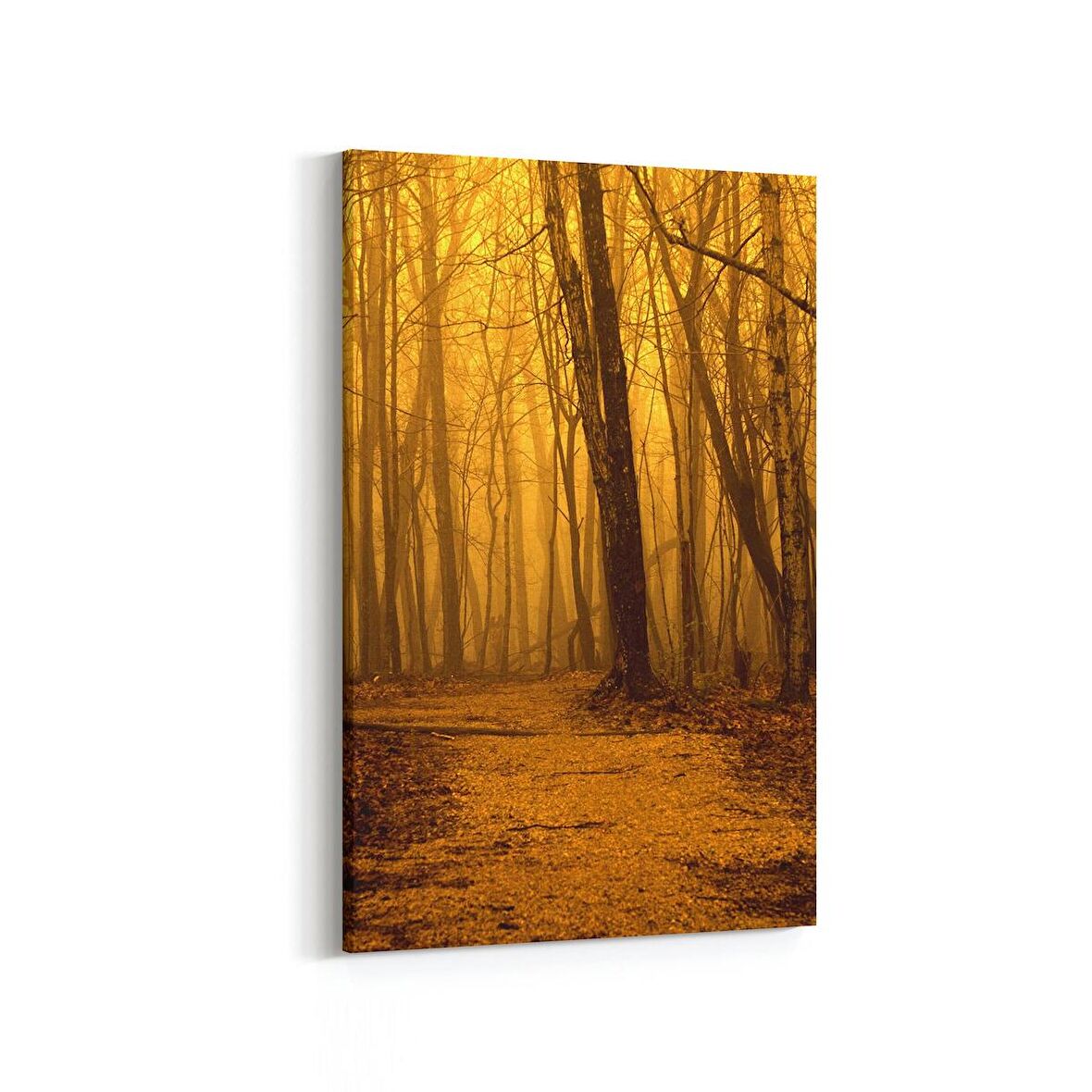 Olla 13885D Doğa / Manzara Görseli Dikey Kanvas Tablo (Ölçü: 20X30)