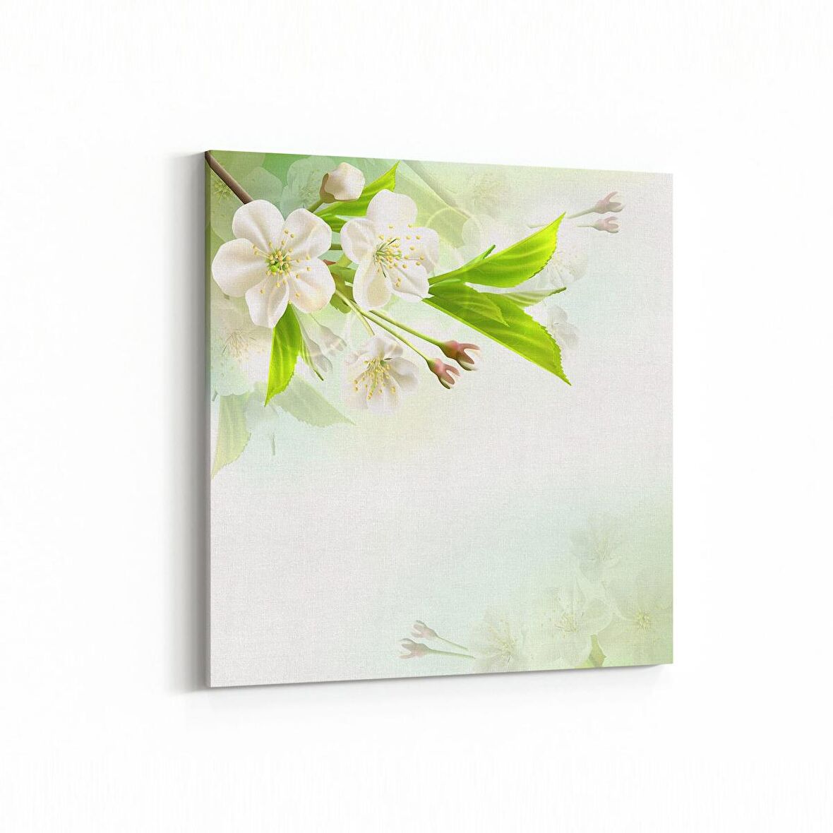 Olla 11675K Orkide Çiçek Görseli Kare Kanvas Tablo (Ölçü: 60X60)