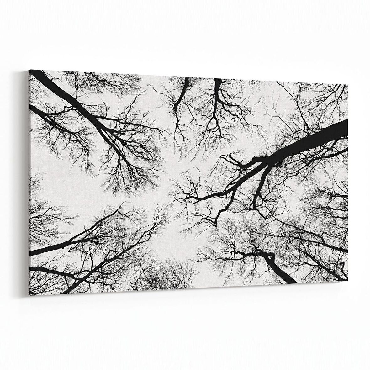 Olla 10943Y Ağaç Görseli Yatay Kanvas Tablo (Ölçü: 70X50)