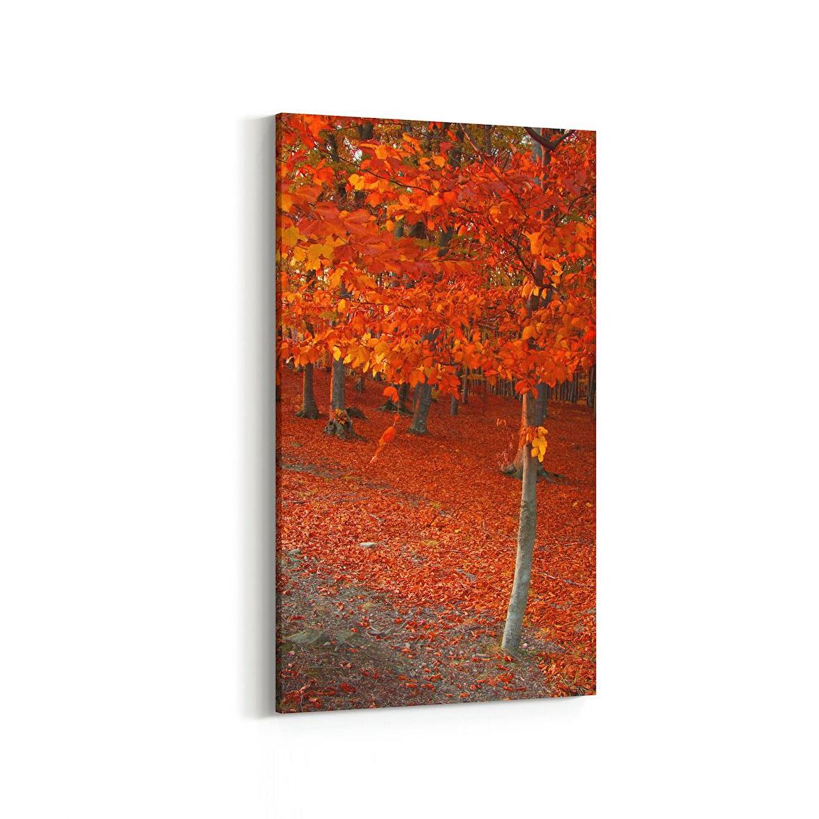 Olla 13335DD Doğa / Manzara Görseli Dikey Dar Kanvas Tablo (Ölçü: 40X80)