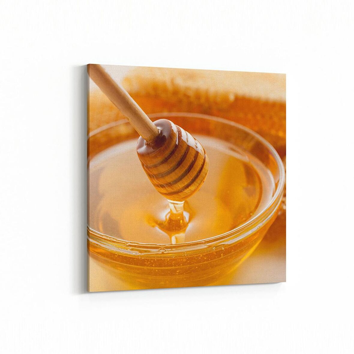 Olla 15136K Gıda Görseli Kare Kanvas Tablo (Ölçü: 25X25)