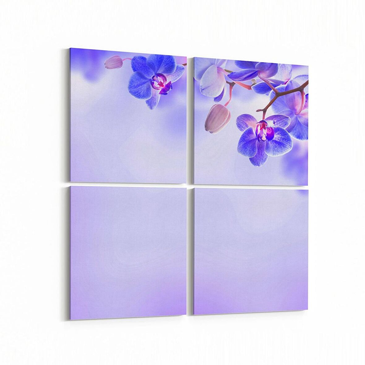 Olla 11689K4 Orkide Çiçek Görseli Kare 4'lü Kanvas Tablo (Ölçü: 145X145)