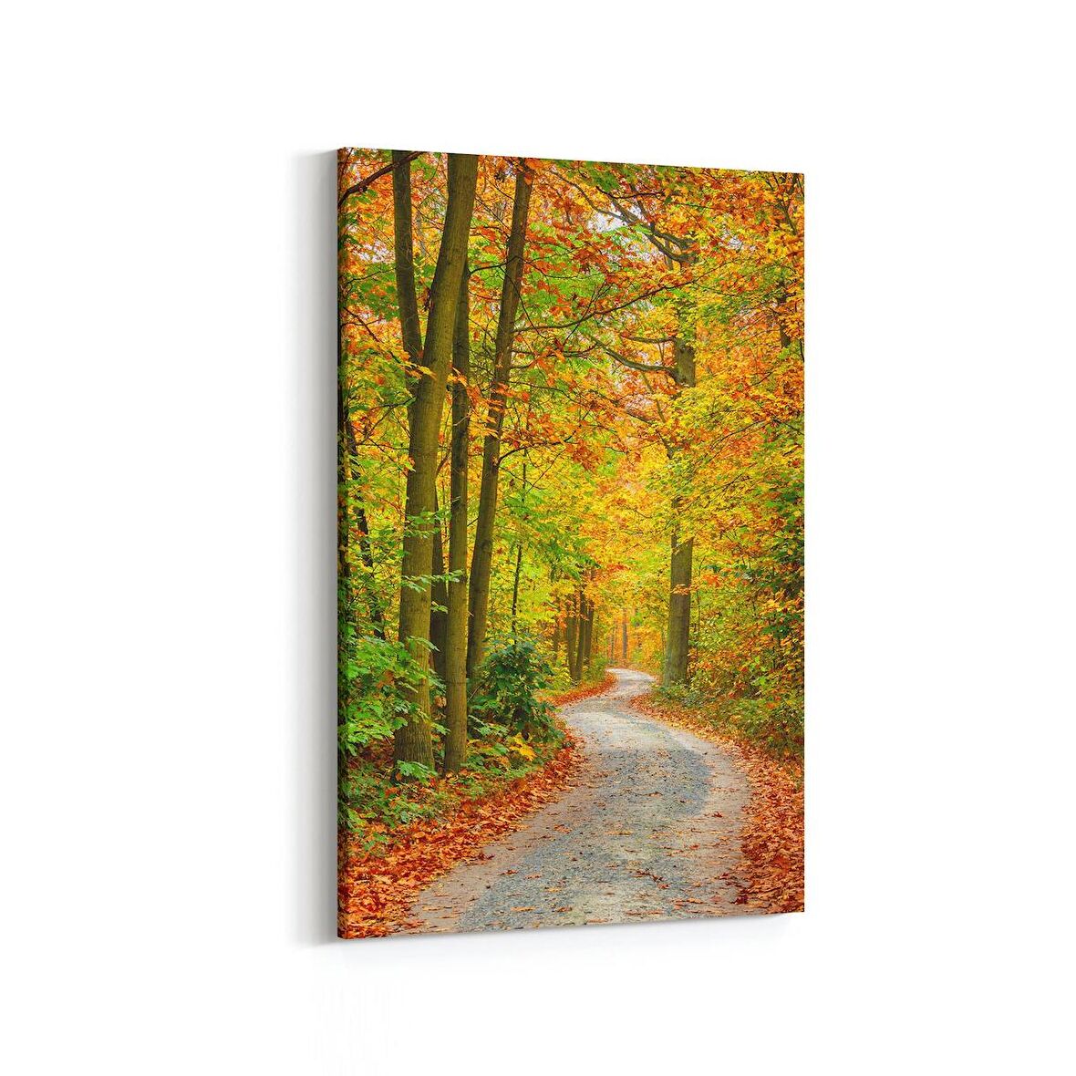 Olla 13743D Doğa / Manzara Görseli Dikey Kanvas Tablo (Ölçü: 100X150)