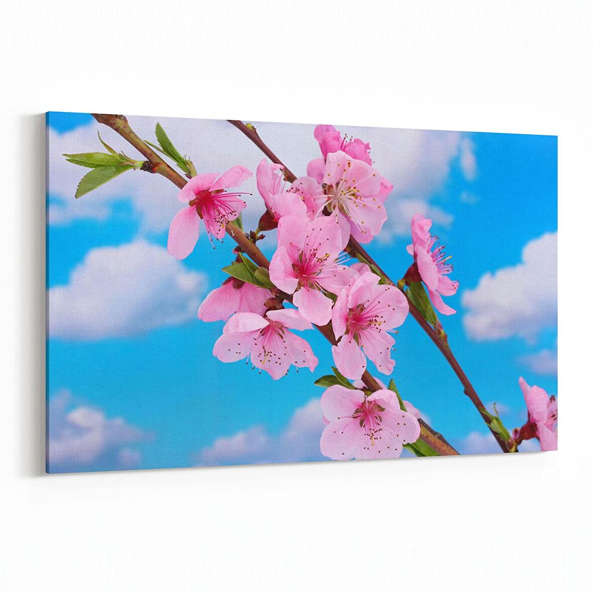 Olla 10545Y Ağaç Görseli Yatay Kanvas Tablo (Ölçü: 45X30)