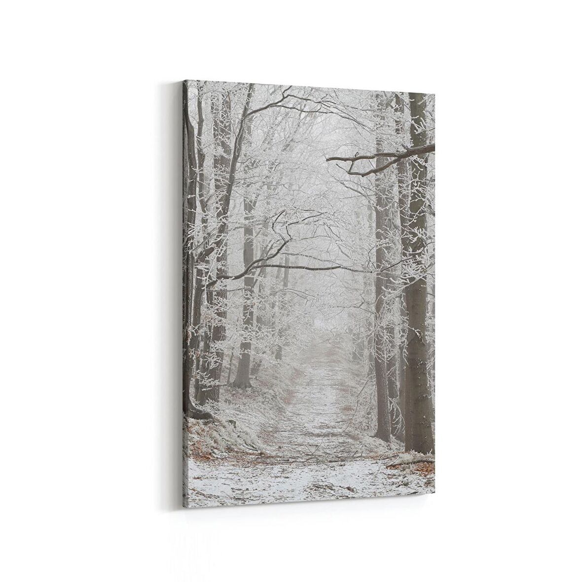 Olla 14451D Doğa / Manzara Görseli Dikey Kanvas Tablo (Ölçü: 100X150)