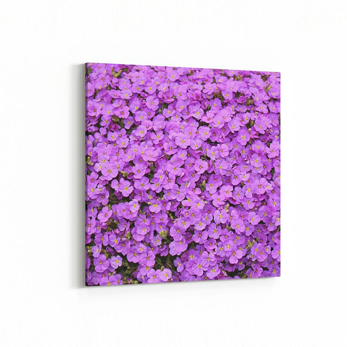 Olla 11587K Çiçek Görseli Kare Kanvas Tablo (Ölçü: 100X100)