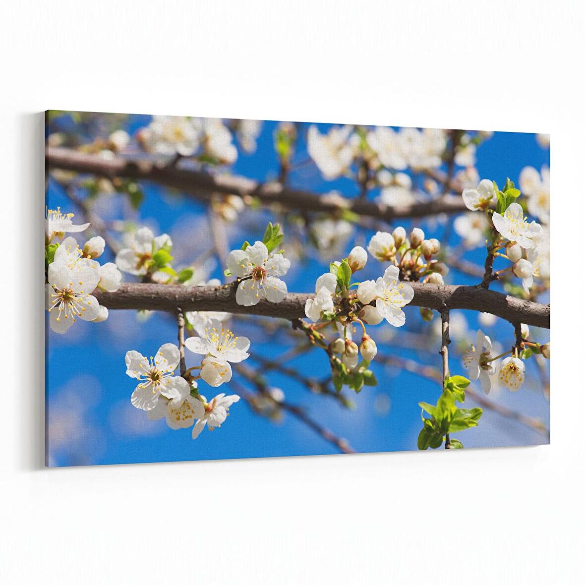 Olla 10821Y Ağaç Görseli Yatay Kanvas Tablo (Ölçü: 120X80)