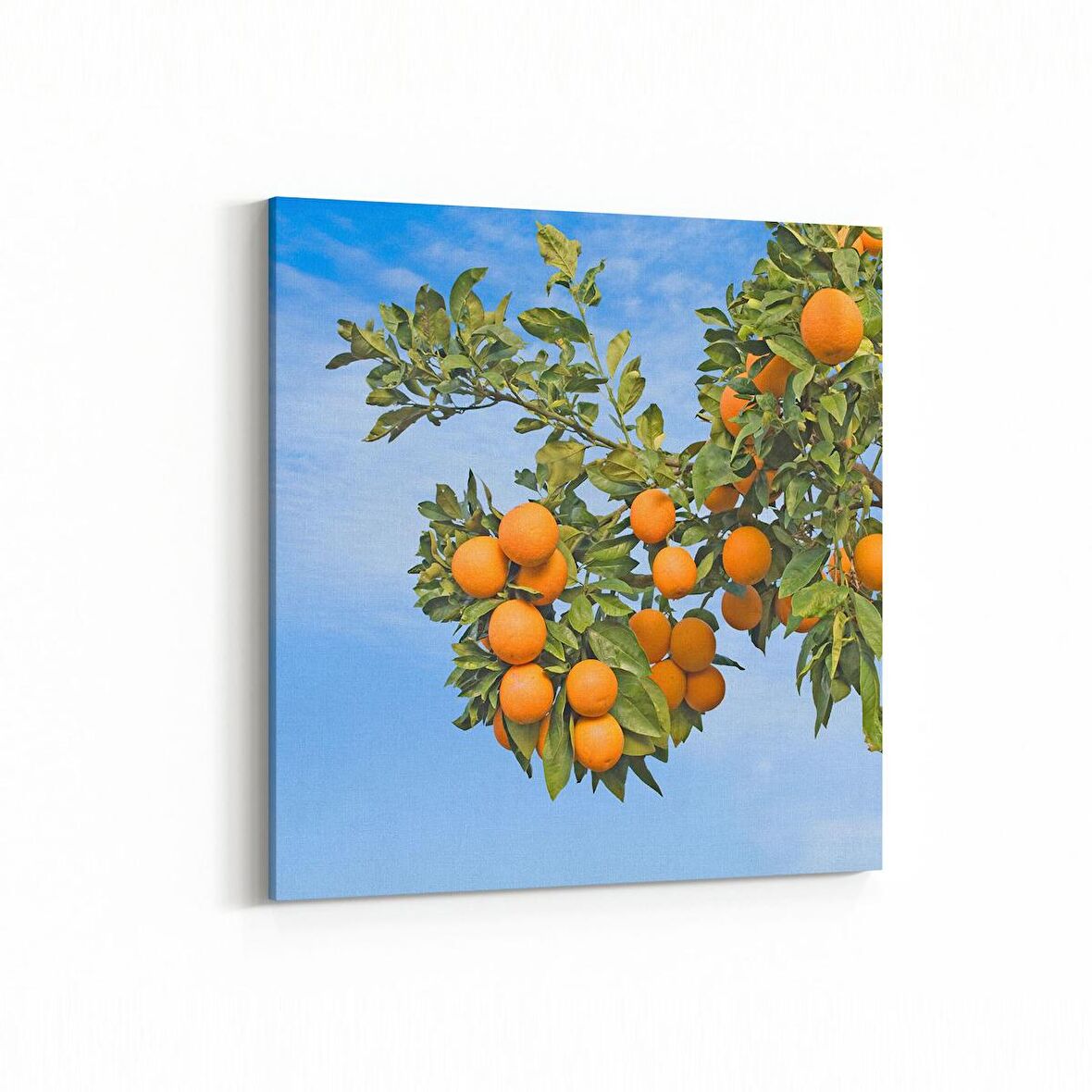 Olla 15207K Gıda Görseli Kare Kanvas Tablo (Ölçü: 25X25)