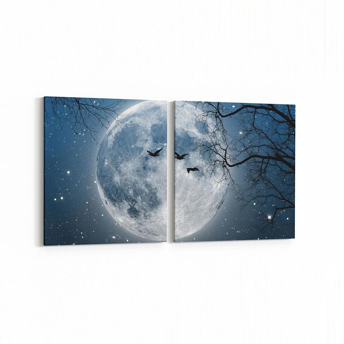 Olla 14716K2Y Gece Gökyüzü Görseli Kare 2'li Yatay Kanvas Tablo (Ölçü: 145X70)