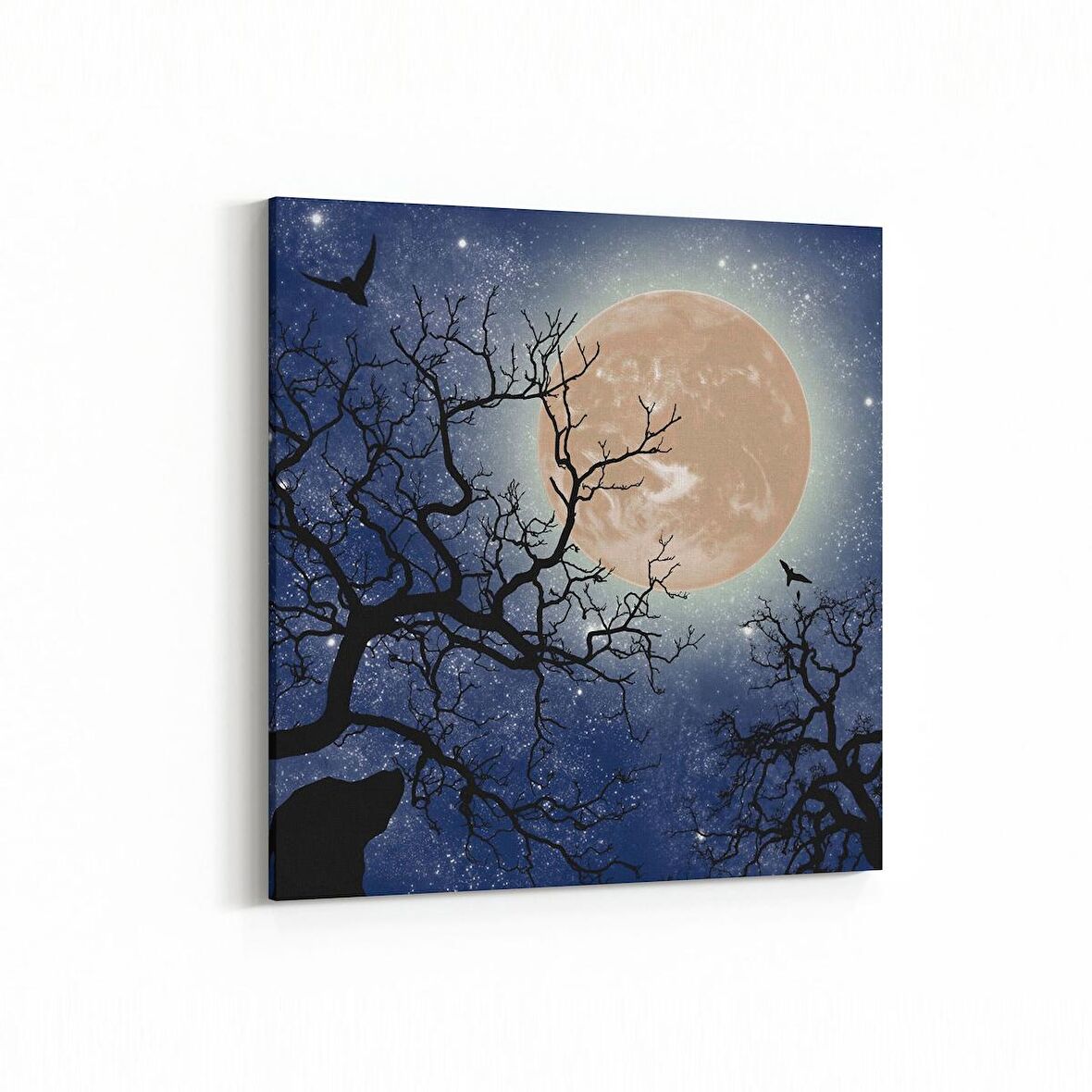 Olla 14639K Gece Gökyüzü Görseli Kare Kanvas Tablo (Ölçü: 30X30)