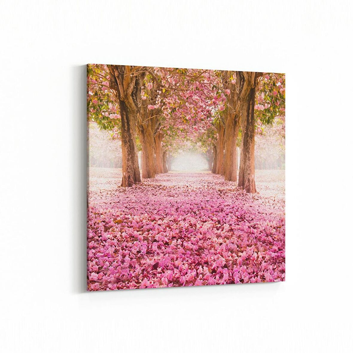 Olla 13472K Doğa / Manzara Görseli Kare Kanvas Tablo (Ölçü: 100X100)