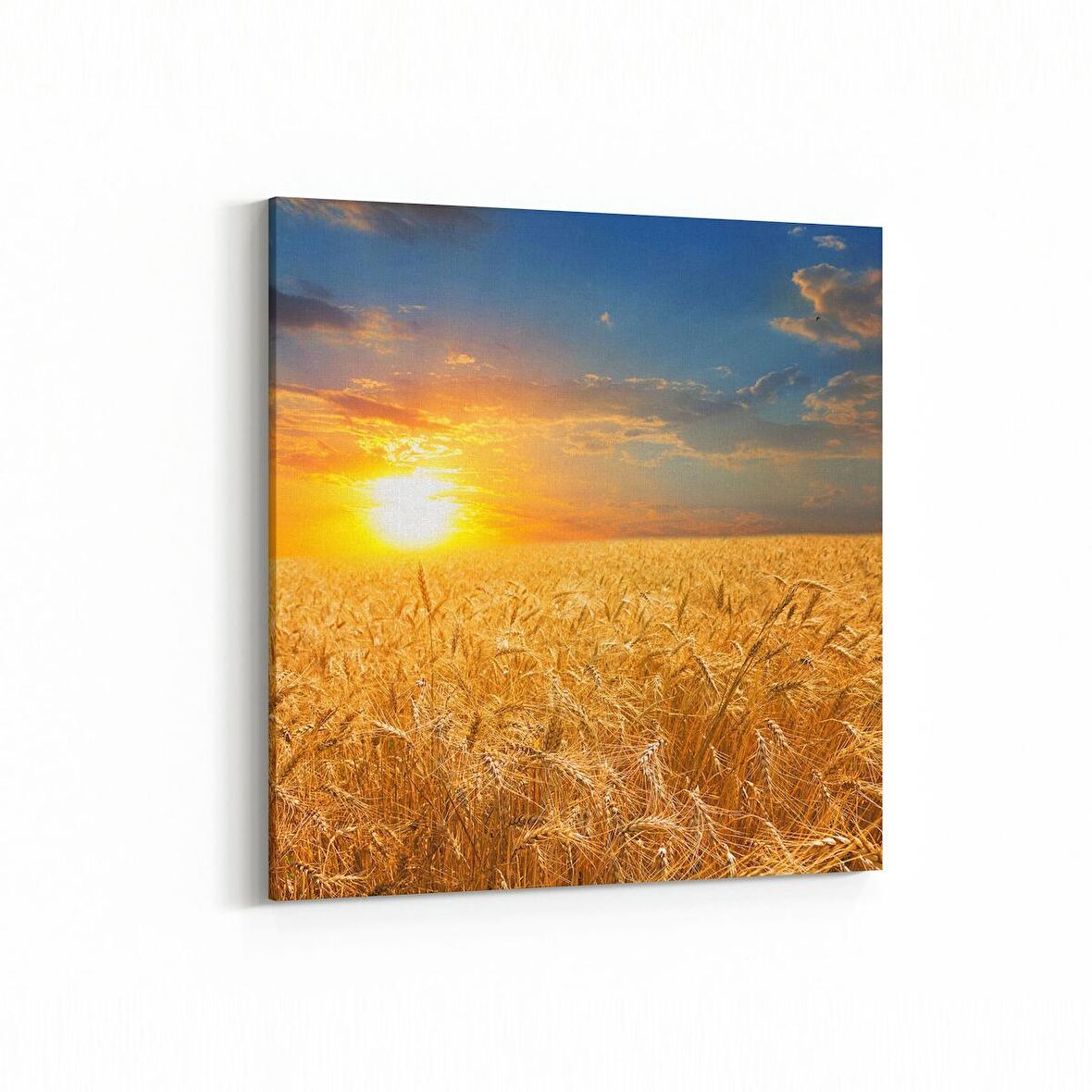 Olla 15962K Günbatımı Görseli Kare Kanvas Tablo (Ölçü: 25X25)