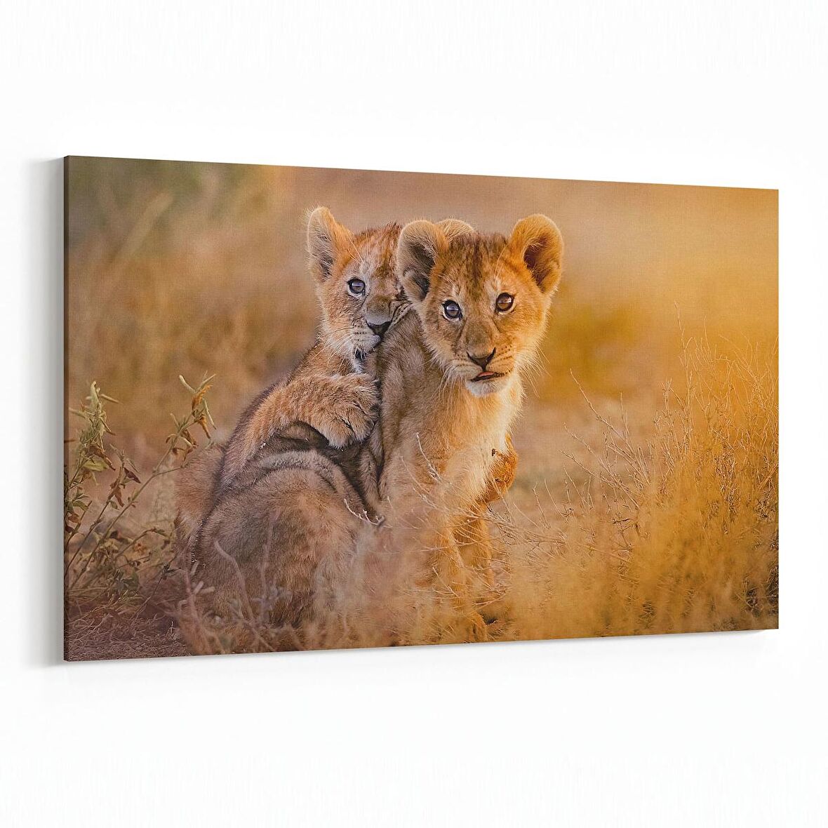 Olla 12676Y Hayvanlar Alemi Görseli Yatay Kanvas Tablo (Ölçü: 150X100)