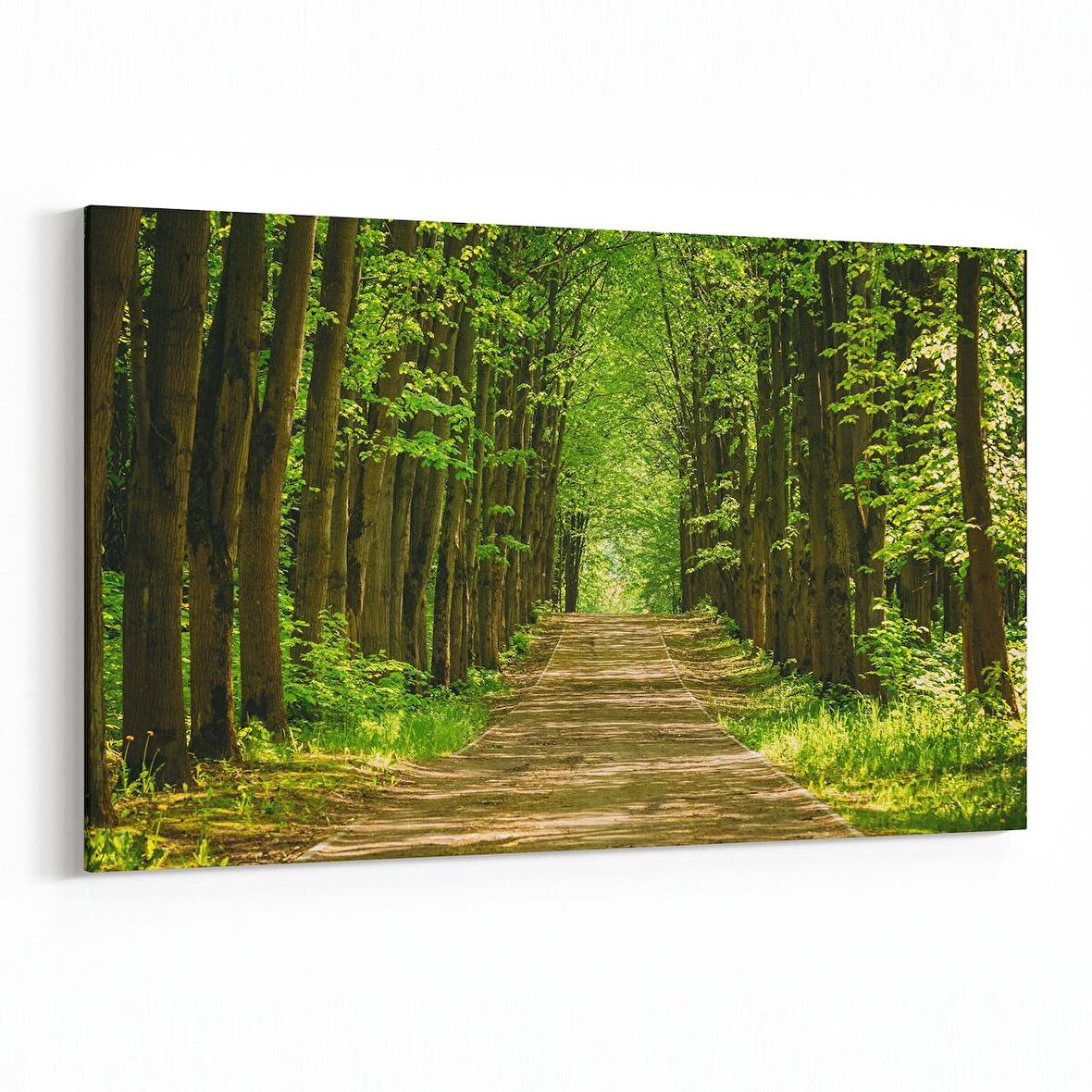 Olla 14276Y Doğa / Manzara Görseli Yatay Kanvas Tablo (Ölçü: 45X30)