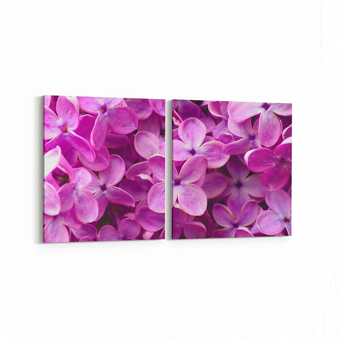 Olla 11609K2Y Çiçek Görseli Kare 2'li Yatay Kanvas Tablo (Ölçü: 125X60)