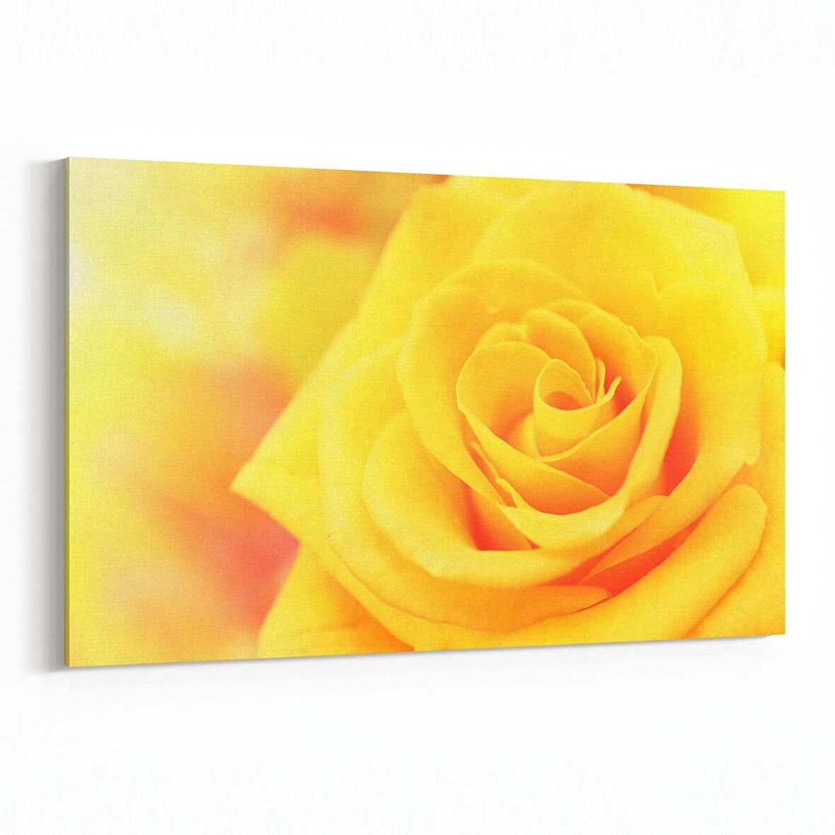 Olla 11592Y Çiçek Görseli Yatay Kanvas Tablo (Ölçü: 70X50)