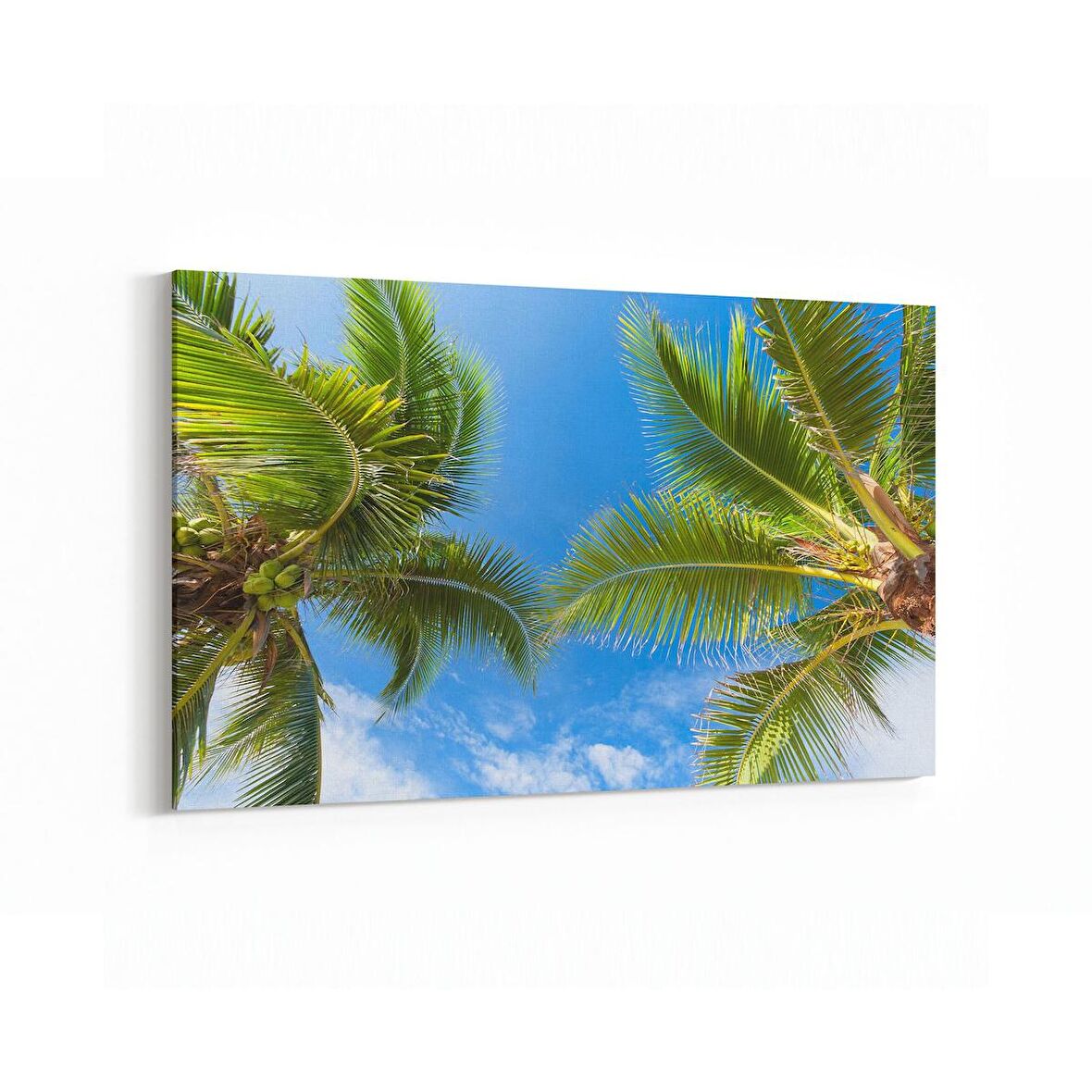 Olla 11512Y Palmiye Ağacı Görseli Yatay Kanvas Tablo (Ölçü: 150X100)